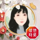 카드로 힐링하는 타로 이미지