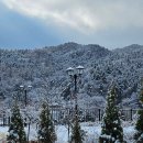 유명산주말농원 | 겨울갬성 가득한 장작불 가평솥뚜껑닭볶음탕 산골농원