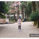 다원농산 네이버블로그