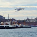 보스포러스 이미지