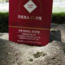 [메디트리 파로효소 골드라벨 후기] 몸이 가벼워지는 습관, 파로효소로 시작했어요