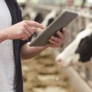 한국가축컨설팅 이미지