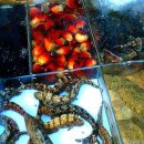 그린풍경 이미지