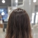 더미쁨헤어