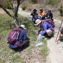 자진뱅이길 이미지