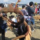 서울참새 이미지