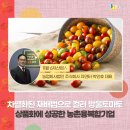 동행 주식회사 농업회사법인