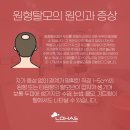 자연히