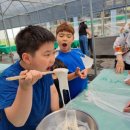 고려강호 태권도 이미지