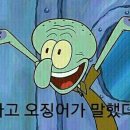 디부조