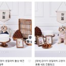 댕데이 이미지