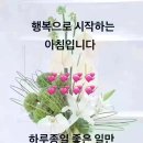 ♤알아두면 유용한 생활속 지혜들♧ 이미지