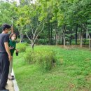 덕유어린이공원 이미지