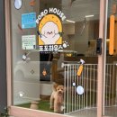 애견하우스 | 수원 인계동 애견미용 _ 포포하우스 첫방문 후기 🐶✂️