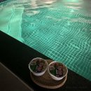 구공오빠 이미지