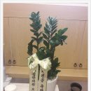 단침한의원 이미지
