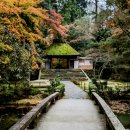 별스런 산책 이미지