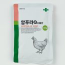 경주 동물 약국 이미지