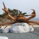 속초해안가 이미지