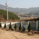 장수조경 이미지