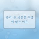 더널리 휴 | 수내동 미용실 찾는다면 휴시크 분당수내점, 저의 경험을 공유합니다