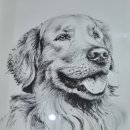 일신3호 태양광발전소 | 태양광사업허가권 등도 유언공증 할 수 있는지 / 전주 공증