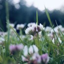 평화신선식품 이미지