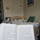 용산상회자판기 | 이제 봄이 오려나