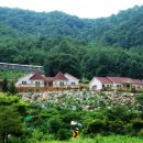 마녹펜션 이미지