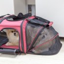 (주)페슬러 이미지