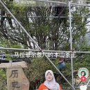 본산 Daum카페