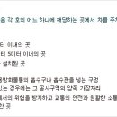 주차33 이미지