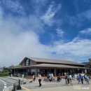 ㈜고현정류장 | [아기랑 도쿄 여행] 하코네 오와쿠다니 둘러보기, 하코네 로프웨이 운휴 운행 중지