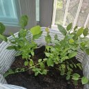 항산농장 이미지