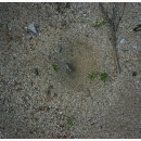 북한강 자전거도로8 이미지