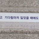봄삼 이미지