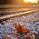 경서지역아동센터 이미지