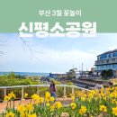 신평공원 | 부산 수선화명소 기장 신평소공원 주차