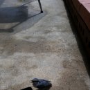 게스트하우스 삶의기쁨