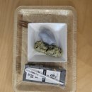 버블슈운동화세탁 | 영통] 시온여성병원연계 조리원:시온산후조리원 특실 후기(신생아실, 룸 컨디션, 편의시설, 식사...