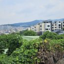 동림2리 이미지