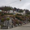 경기 양평 산수유 정보화마을 네이버블로그