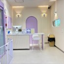 뽀삐애견 이미지