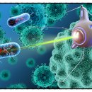 가온누리 컴퍼니 이미지