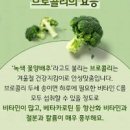 브로콜리 이미지