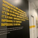 액티브 복싱클럽 이미지