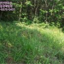 창촌초 운두분교장 이미지