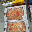 태양청과 이미지