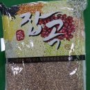 심석종 네이버블로그