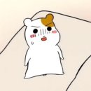 연세인이비인후과의원 이미지